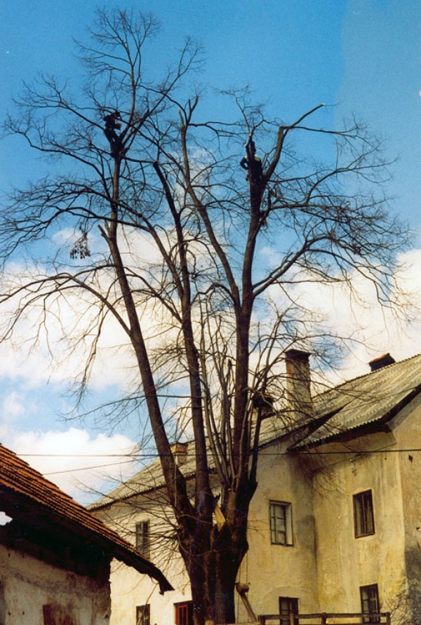 Sanacija in strokovno svetovanje